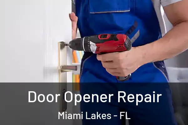  Door Opener Repair Miami Lakes - FL