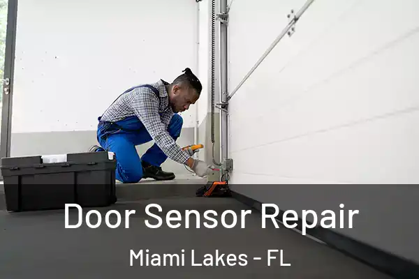Door Sensor Repair Miami Lakes - FL